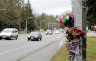 Flowers by the roadside
