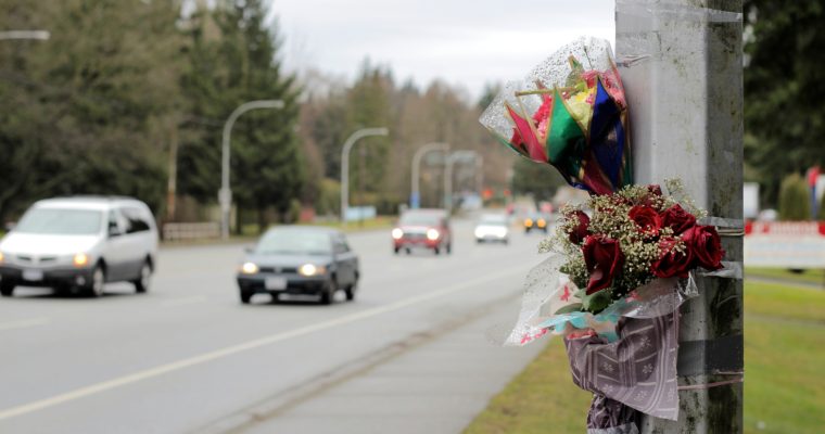 Flowers by the roadside