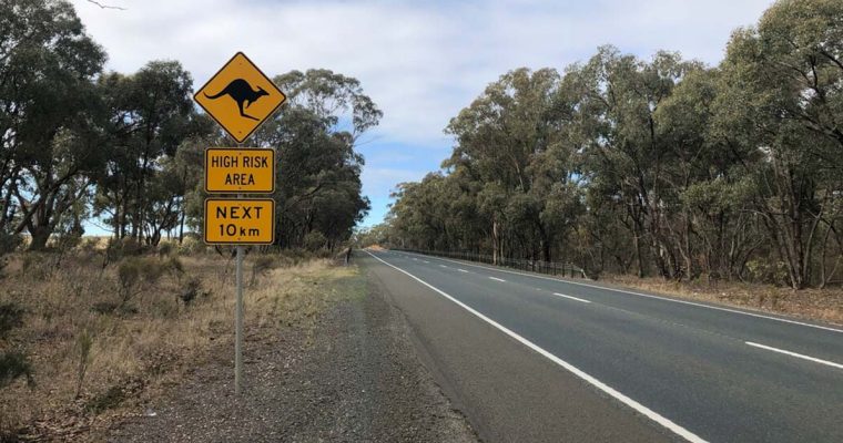 Animal signs australia HR